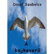 Dicső Szabolcs - A bajkeverő